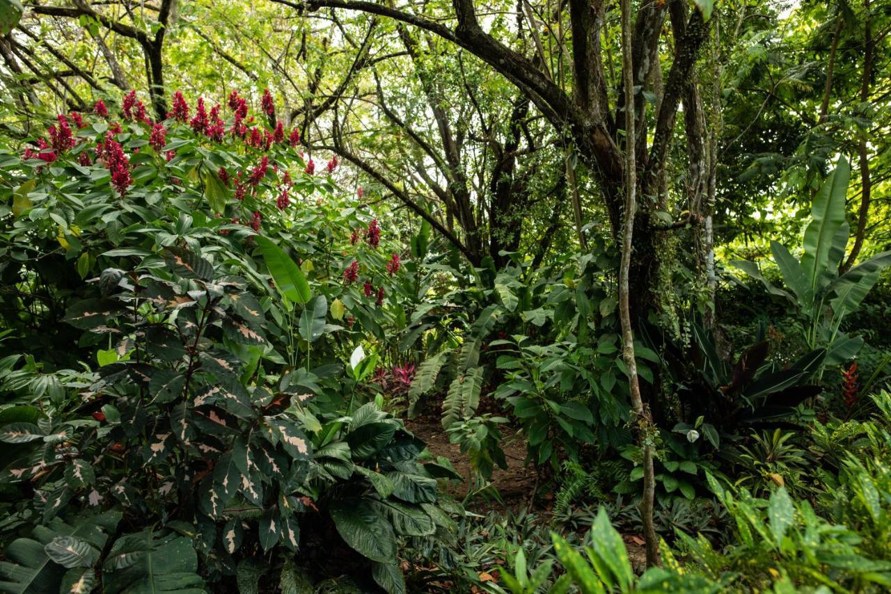 Las Brisas Del Sur Ojochal Exterior foto