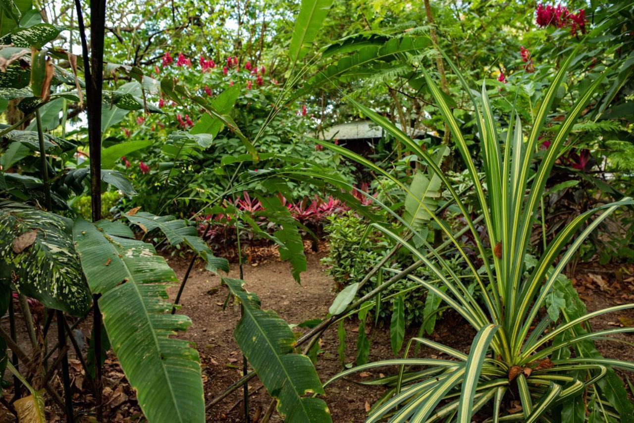 Las Brisas Del Sur Ojochal Exterior foto