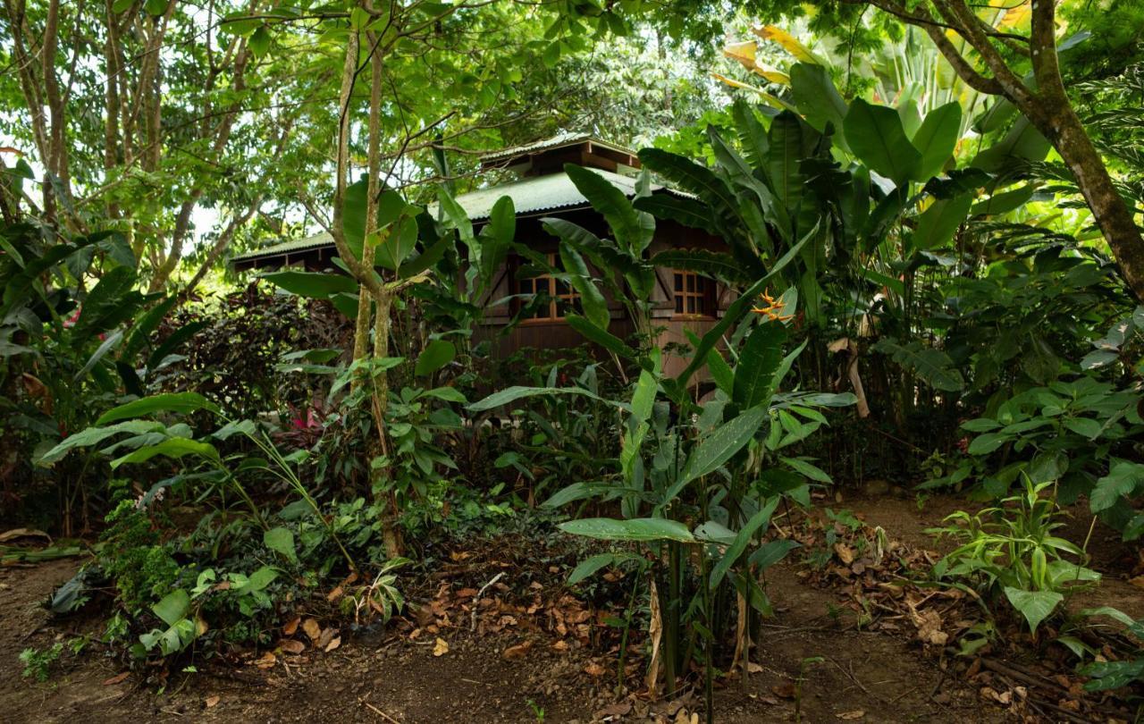 Las Brisas Del Sur Ojochal Exterior foto