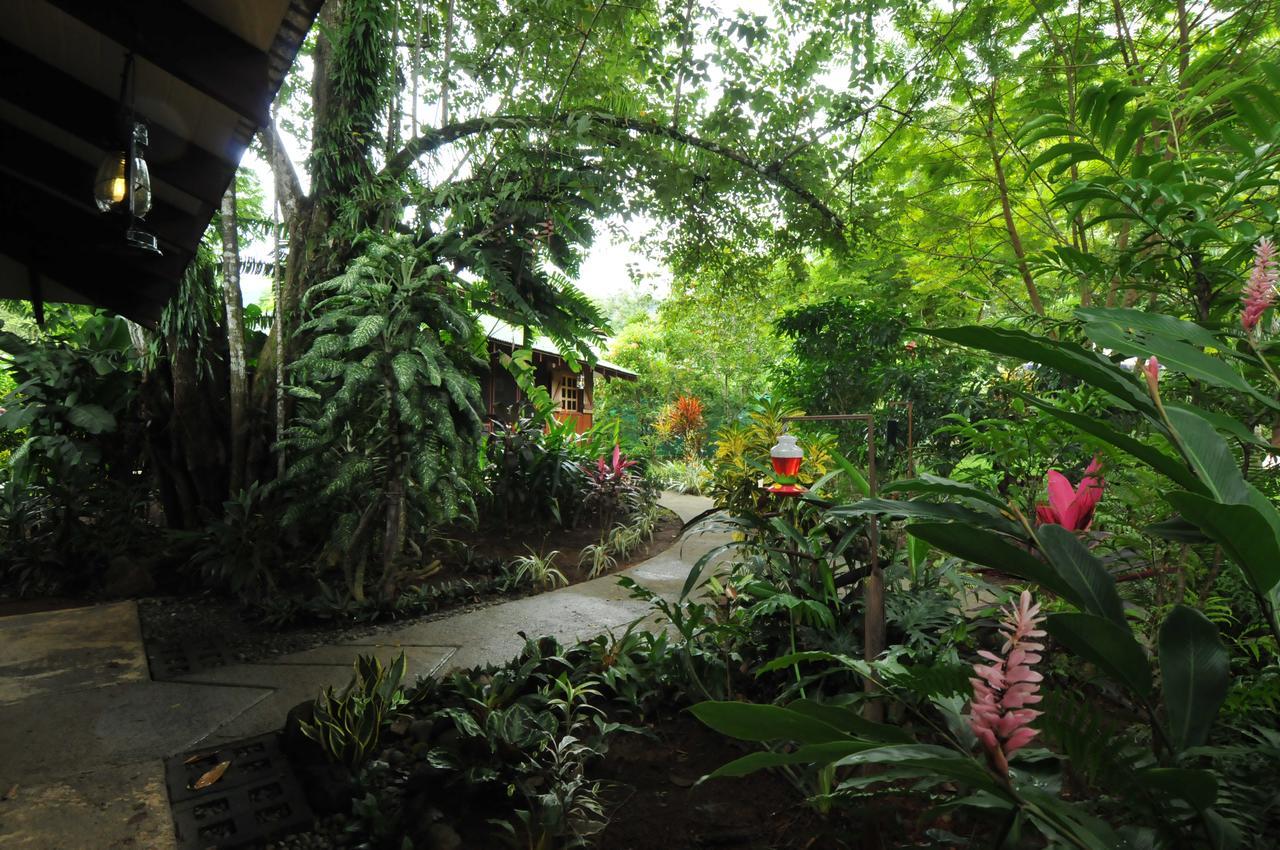 Las Brisas Del Sur Ojochal Exterior foto