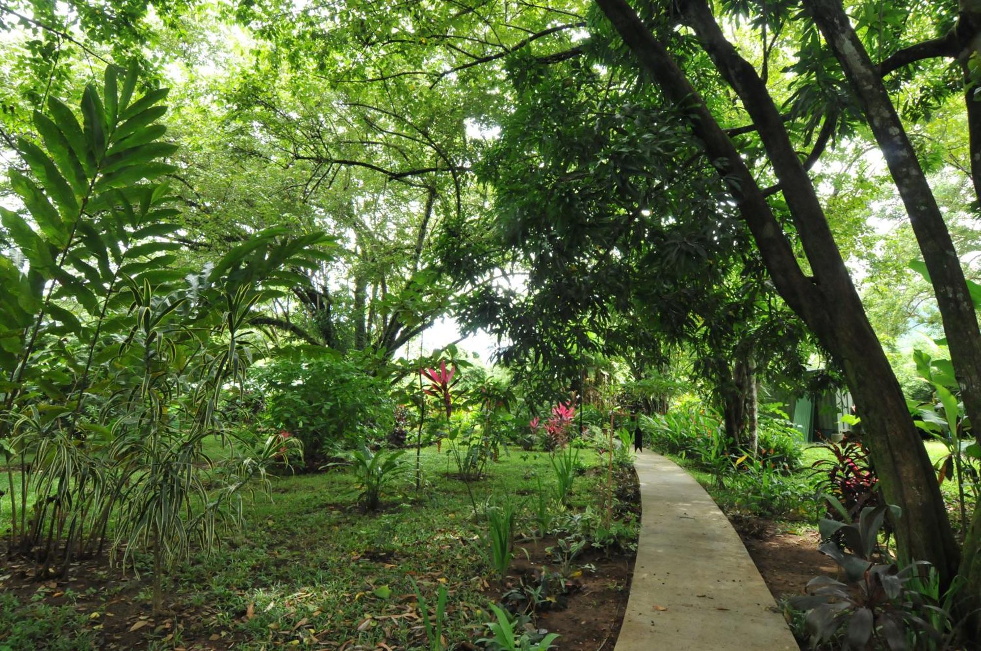Las Brisas Del Sur Ojochal Exterior foto